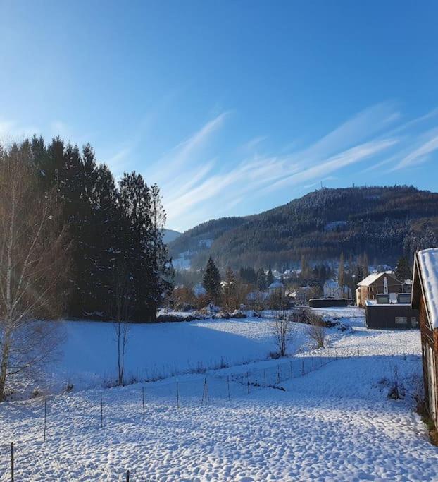 Chalet Les Boudieres 6 Pers Pres Gerardmer Cosy Billard Fraize Bagian luar foto