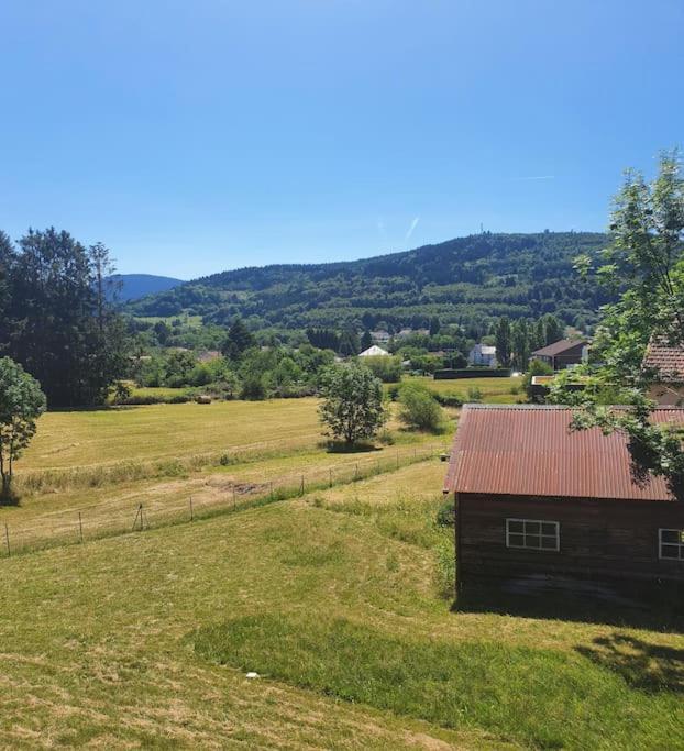Chalet Les Boudieres 6 Pers Pres Gerardmer Cosy Billard Fraize Bagian luar foto